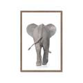 Picture of Behind Elephant _GroupedProduct_Rectangle_Portrait_Mini_ _GroupedProduct_Rectangle_Portrait_Framed_Matted_