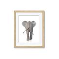 Picture of Behind Elephant _GroupedProduct_Rectangle_Portrait_Mini_ _GroupedProduct_Rectangle_Portrait_Framed_Matted_