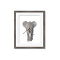 Picture of Behind Elephant _GroupedProduct_Rectangle_Portrait_Mini_ _GroupedProduct_Rectangle_Portrait_Framed_Matted_