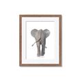 Picture of Behind Elephant _GroupedProduct_Rectangle_Portrait_Mini_ _GroupedProduct_Rectangle_Portrait_Framed_Matted_