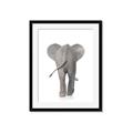 Picture of Behind Elephant _GroupedProduct_Rectangle_Portrait_Mini_ _GroupedProduct_Rectangle_Portrait_Framed_Matted_