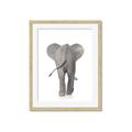Picture of Behind Elephant _GroupedProduct_Rectangle_Portrait_Mini_ _GroupedProduct_Rectangle_Portrait_Framed_Matted_