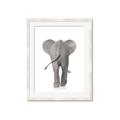 Picture of Behind Elephant _GroupedProduct_Rectangle_Portrait_Mini_ _GroupedProduct_Rectangle_Portrait_Framed_Matted_