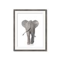 Picture of Behind Elephant _GroupedProduct_Rectangle_Portrait_Mini_ _GroupedProduct_Rectangle_Portrait_Framed_Matted_
