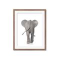 Picture of Behind Elephant _GroupedProduct_Rectangle_Portrait_Mini_ _GroupedProduct_Rectangle_Portrait_Framed_Matted_