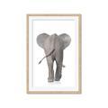 Picture of Behind Elephant _GroupedProduct_Rectangle_Portrait_Mini_ _GroupedProduct_Rectangle_Portrait_Framed_Matted_