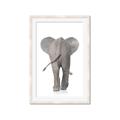 Picture of Behind Elephant _GroupedProduct_Rectangle_Portrait_Mini_ _GroupedProduct_Rectangle_Portrait_Framed_Matted_