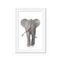 Picture of Behind Elephant _GroupedProduct_Rectangle_Portrait_Mini_ _GroupedProduct_Rectangle_Portrait_Framed_Matted_