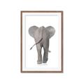 Picture of Behind Elephant _GroupedProduct_Rectangle_Portrait_Mini_ _GroupedProduct_Rectangle_Portrait_Framed_Matted_