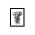 Picture of In Front Elephant _GroupedProduct_Rectangle_Portrait_Mini_ _GroupedProduct_Rectangle_Portrait_Framed_Matted_