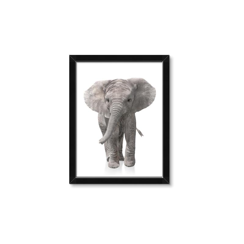 Picture of In Front Elephant _GroupedProduct_Rectangle_Portrait_Mini_ _GroupedProduct_Rectangle_Portrait_Framed_Matted_