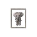 Picture of In Front Elephant _GroupedProduct_Rectangle_Portrait_Mini_ _GroupedProduct_Rectangle_Portrait_Framed_Matted_
