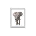 Picture of In Front Elephant _GroupedProduct_Rectangle_Portrait_Mini_ _GroupedProduct_Rectangle_Portrait_Framed_Matted_