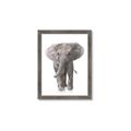 Picture of In Front Elephant _GroupedProduct_Rectangle_Portrait_Mini_ _GroupedProduct_Rectangle_Portrait_Framed_Matted_