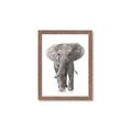 Picture of In Front Elephant _GroupedProduct_Rectangle_Portrait_Mini_ _GroupedProduct_Rectangle_Portrait_Framed_Matted_