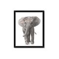 Picture of In Front Elephant _GroupedProduct_Rectangle_Portrait_Mini_ _GroupedProduct_Rectangle_Portrait_Framed_Matted_