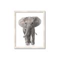 Picture of In Front Elephant _GroupedProduct_Rectangle_Portrait_Mini_ _GroupedProduct_Rectangle_Portrait_Framed_Matted_