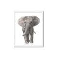 Picture of In Front Elephant _GroupedProduct_Rectangle_Portrait_Mini_ _GroupedProduct_Rectangle_Portrait_Framed_Matted_