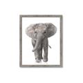 Picture of In Front Elephant _GroupedProduct_Rectangle_Portrait_Mini_ _GroupedProduct_Rectangle_Portrait_Framed_Matted_