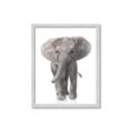 Picture of In Front Elephant _GroupedProduct_Rectangle_Portrait_Mini_ _GroupedProduct_Rectangle_Portrait_Framed_Matted_