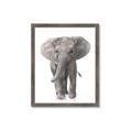 Picture of In Front Elephant _GroupedProduct_Rectangle_Portrait_Mini_ _GroupedProduct_Rectangle_Portrait_Framed_Matted_