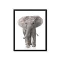 Picture of In Front Elephant _GroupedProduct_Rectangle_Portrait_Mini_ _GroupedProduct_Rectangle_Portrait_Framed_Matted_