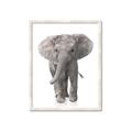Picture of In Front Elephant _GroupedProduct_Rectangle_Portrait_Mini_ _GroupedProduct_Rectangle_Portrait_Framed_Matted_