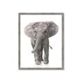 Picture of In Front Elephant _GroupedProduct_Rectangle_Portrait_Mini_ _GroupedProduct_Rectangle_Portrait_Framed_Matted_