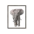 Picture of In Front Elephant _GroupedProduct_Rectangle_Portrait_Mini_ _GroupedProduct_Rectangle_Portrait_Framed_Matted_