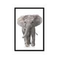 Picture of In Front Elephant _GroupedProduct_Rectangle_Portrait_Mini_ _GroupedProduct_Rectangle_Portrait_Framed_Matted_