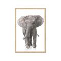 Picture of In Front Elephant _GroupedProduct_Rectangle_Portrait_Mini_ _GroupedProduct_Rectangle_Portrait_Framed_Matted_