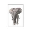 Picture of In Front Elephant _GroupedProduct_Rectangle_Portrait_Mini_ _GroupedProduct_Rectangle_Portrait_Framed_Matted_