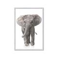 Picture of In Front Elephant _GroupedProduct_Rectangle_Portrait_Mini_ _GroupedProduct_Rectangle_Portrait_Framed_Matted_