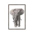 Picture of In Front Elephant _GroupedProduct_Rectangle_Portrait_Mini_ _GroupedProduct_Rectangle_Portrait_Framed_Matted_