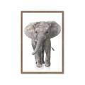 Picture of In Front Elephant _GroupedProduct_Rectangle_Portrait_Mini_ _GroupedProduct_Rectangle_Portrait_Framed_Matted_