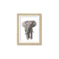Picture of In Front Elephant _GroupedProduct_Rectangle_Portrait_Mini_ _GroupedProduct_Rectangle_Portrait_Framed_Matted_
