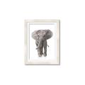 Picture of In Front Elephant _GroupedProduct_Rectangle_Portrait_Mini_ _GroupedProduct_Rectangle_Portrait_Framed_Matted_