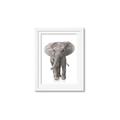 Picture of In Front Elephant _GroupedProduct_Rectangle_Portrait_Mini_ _GroupedProduct_Rectangle_Portrait_Framed_Matted_