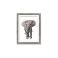 Picture of In Front Elephant _GroupedProduct_Rectangle_Portrait_Mini_ _GroupedProduct_Rectangle_Portrait_Framed_Matted_