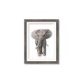 Picture of In Front Elephant _GroupedProduct_Rectangle_Portrait_Mini_ _GroupedProduct_Rectangle_Portrait_Framed_Matted_