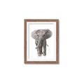Picture of In Front Elephant _GroupedProduct_Rectangle_Portrait_Mini_ _GroupedProduct_Rectangle_Portrait_Framed_Matted_