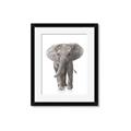 Picture of In Front Elephant _GroupedProduct_Rectangle_Portrait_Mini_ _GroupedProduct_Rectangle_Portrait_Framed_Matted_
