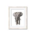 Picture of In Front Elephant _GroupedProduct_Rectangle_Portrait_Mini_ _GroupedProduct_Rectangle_Portrait_Framed_Matted_