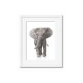 Picture of In Front Elephant _GroupedProduct_Rectangle_Portrait_Mini_ _GroupedProduct_Rectangle_Portrait_Framed_Matted_
