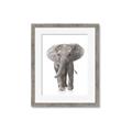 Picture of In Front Elephant _GroupedProduct_Rectangle_Portrait_Mini_ _GroupedProduct_Rectangle_Portrait_Framed_Matted_