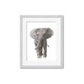 Picture of In Front Elephant _GroupedProduct_Rectangle_Portrait_Mini_ _GroupedProduct_Rectangle_Portrait_Framed_Matted_