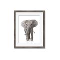 Picture of In Front Elephant _GroupedProduct_Rectangle_Portrait_Mini_ _GroupedProduct_Rectangle_Portrait_Framed_Matted_