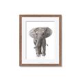 Picture of In Front Elephant _GroupedProduct_Rectangle_Portrait_Mini_ _GroupedProduct_Rectangle_Portrait_Framed_Matted_