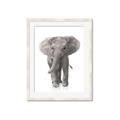 Picture of In Front Elephant _GroupedProduct_Rectangle_Portrait_Mini_ _GroupedProduct_Rectangle_Portrait_Framed_Matted_