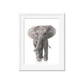Picture of In Front Elephant _GroupedProduct_Rectangle_Portrait_Mini_ _GroupedProduct_Rectangle_Portrait_Framed_Matted_
